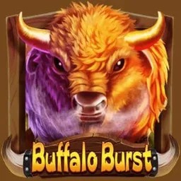 Buffalo Burst